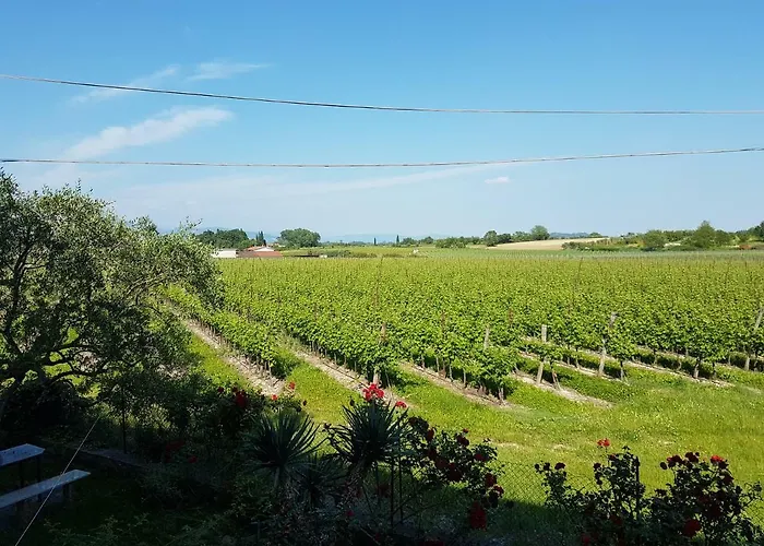 Mio Boutique - Adults Only Hotel Lazise